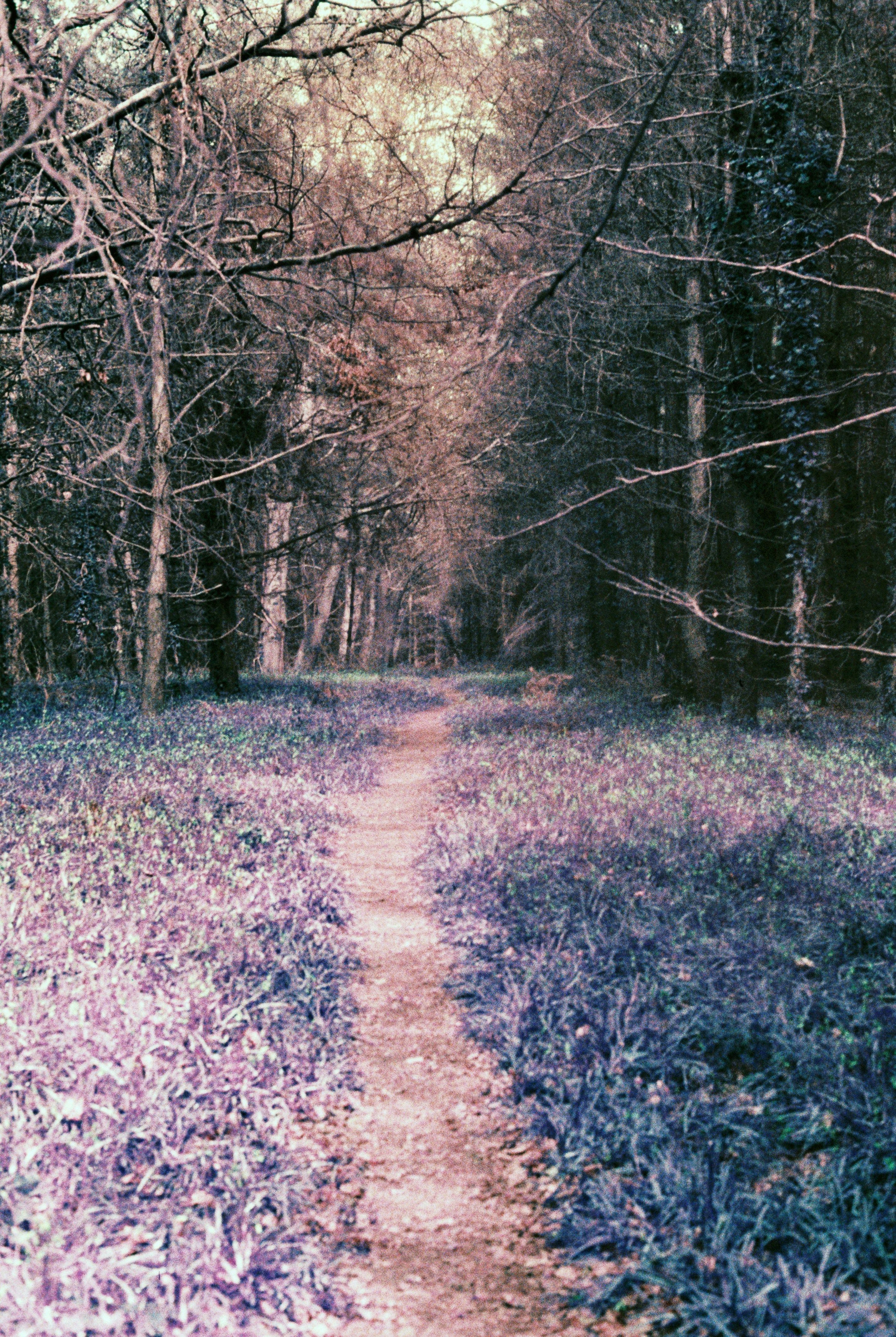 Photo by anniespratt