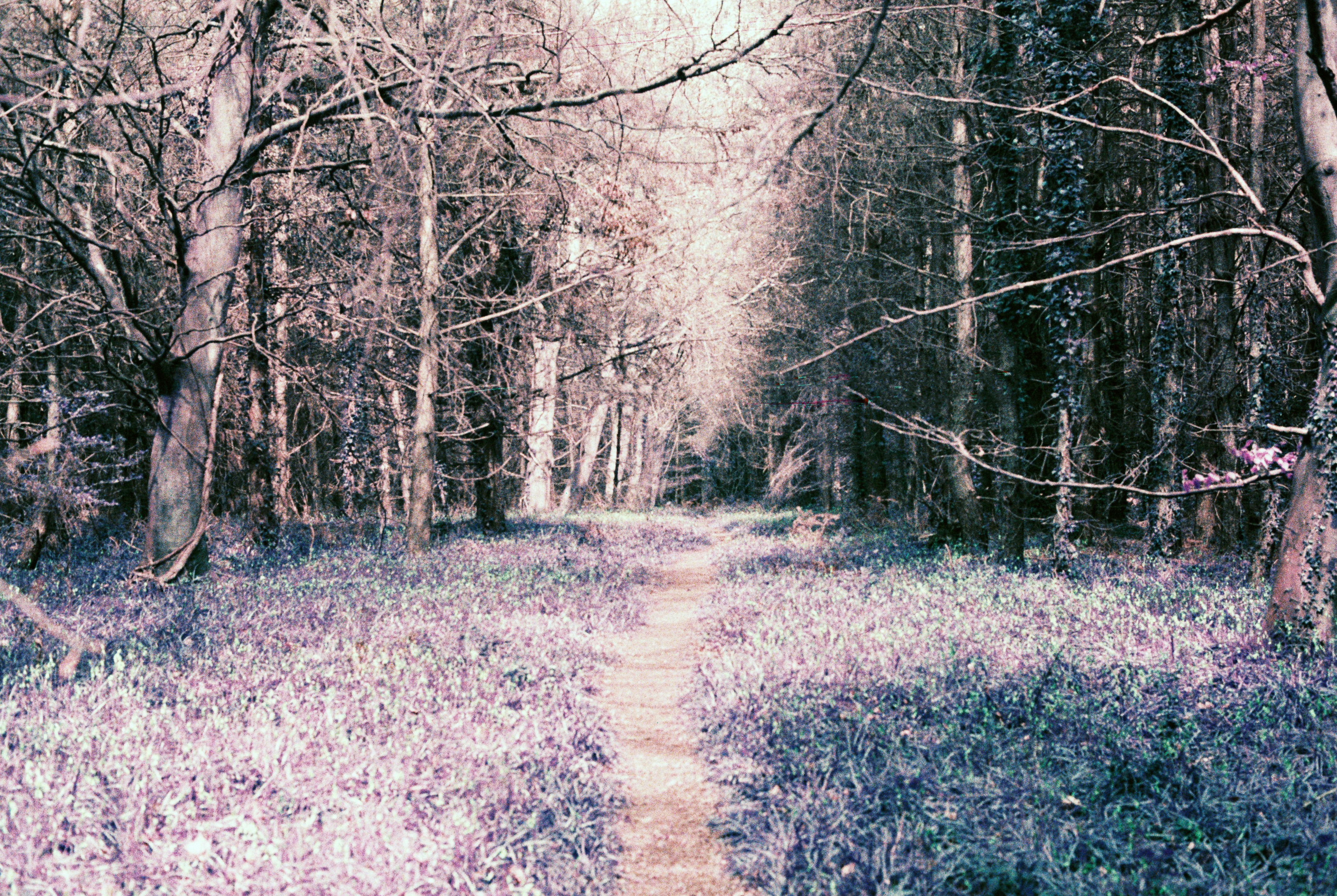 Photo by anniespratt