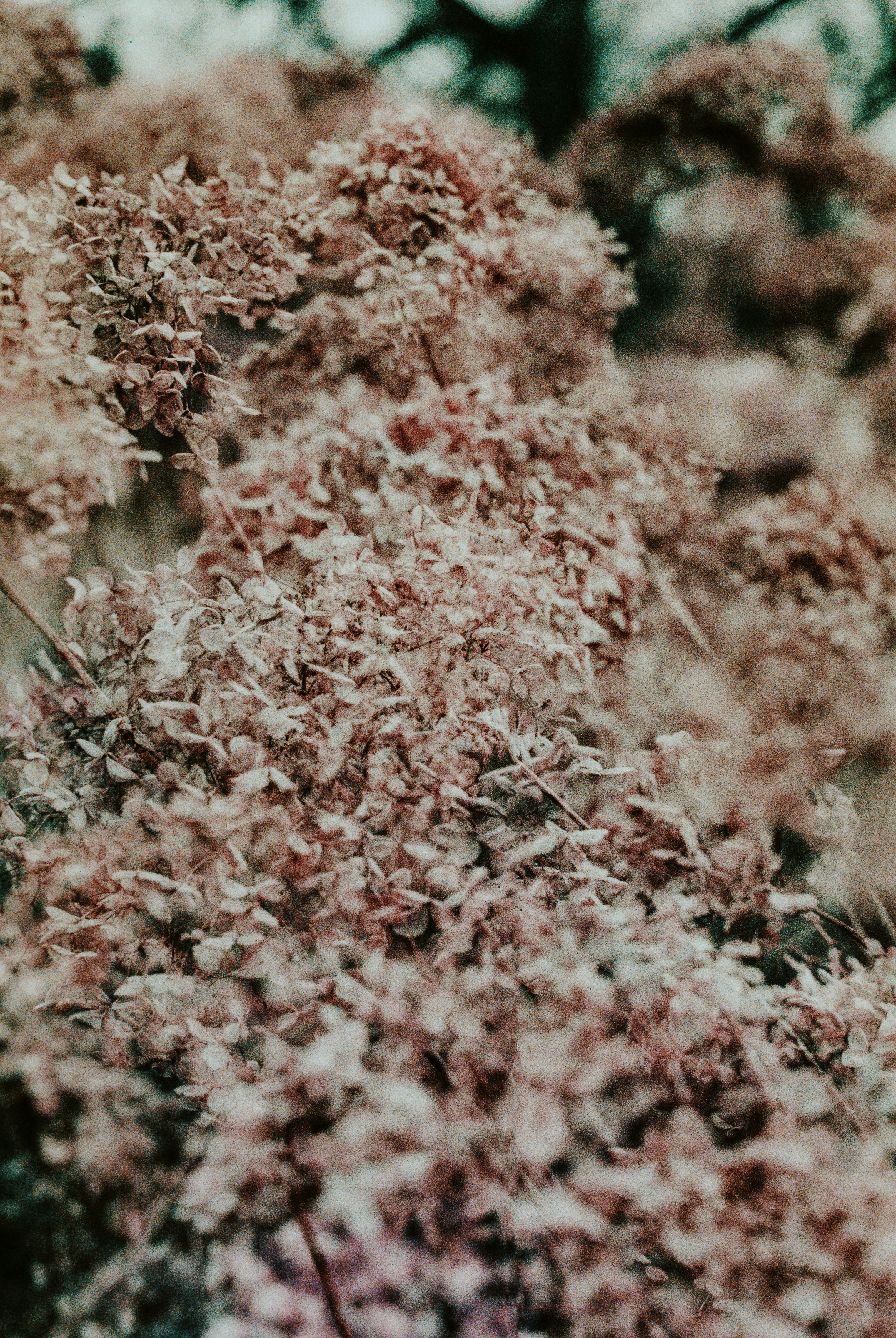 Photo by anniespratt