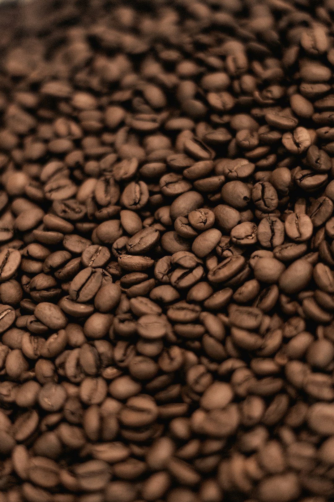 black coffee beans in close up photography