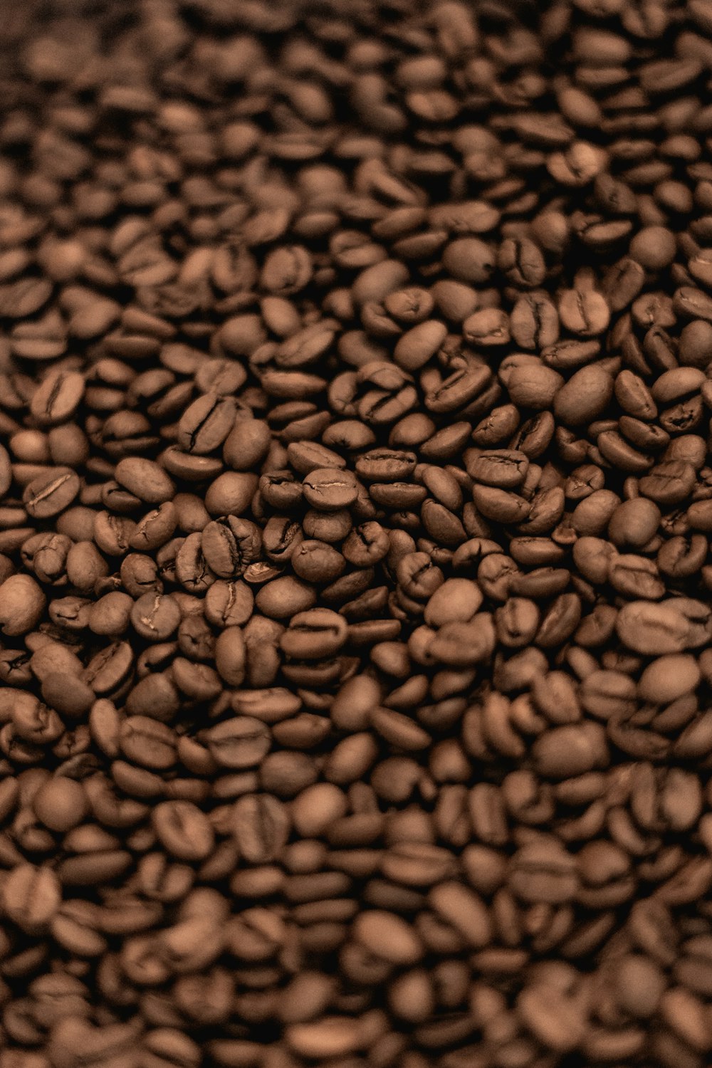 black coffee beans in close up photography