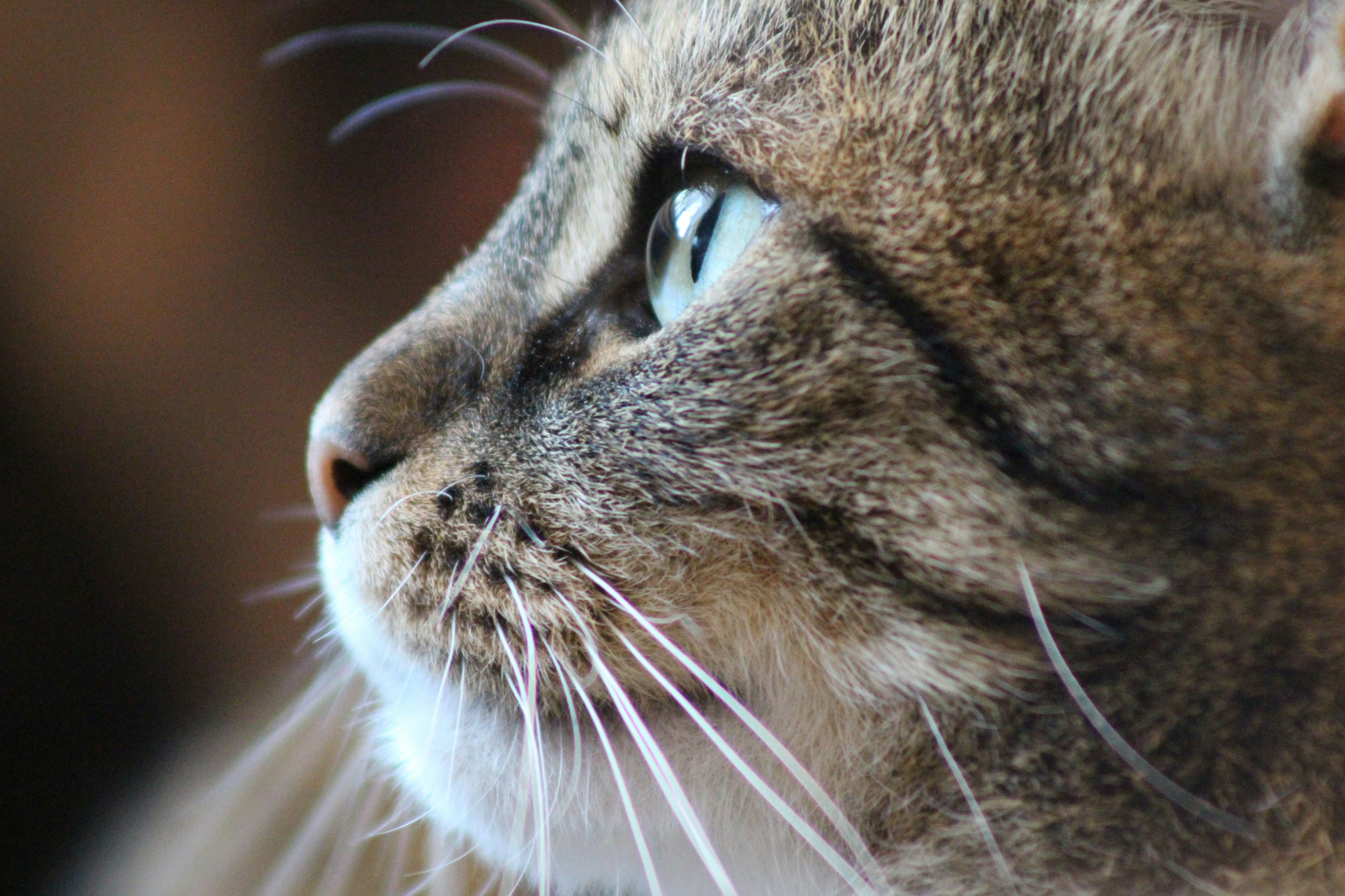 Photo by marjorylucabaxter