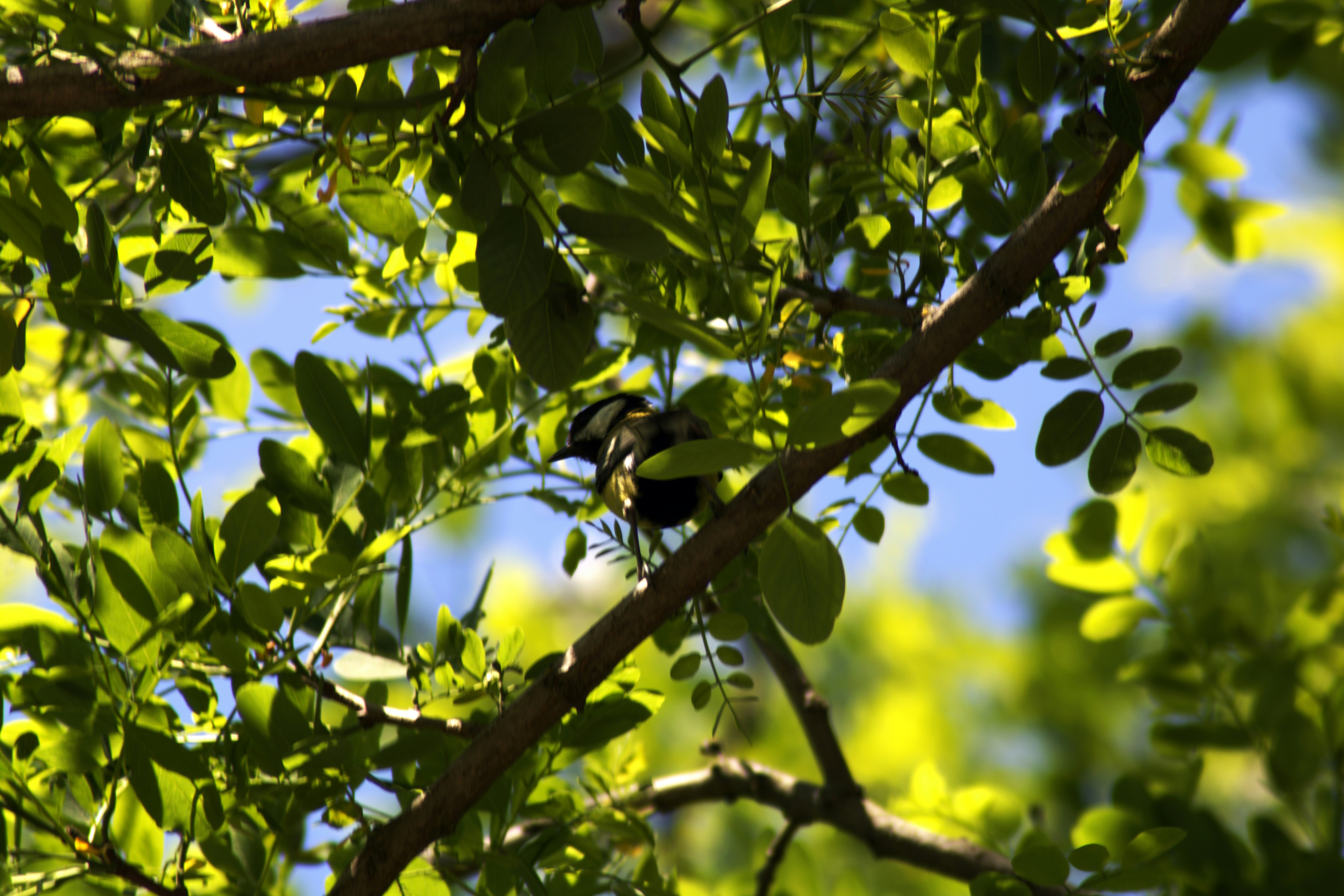 Photo by _adamhauser_