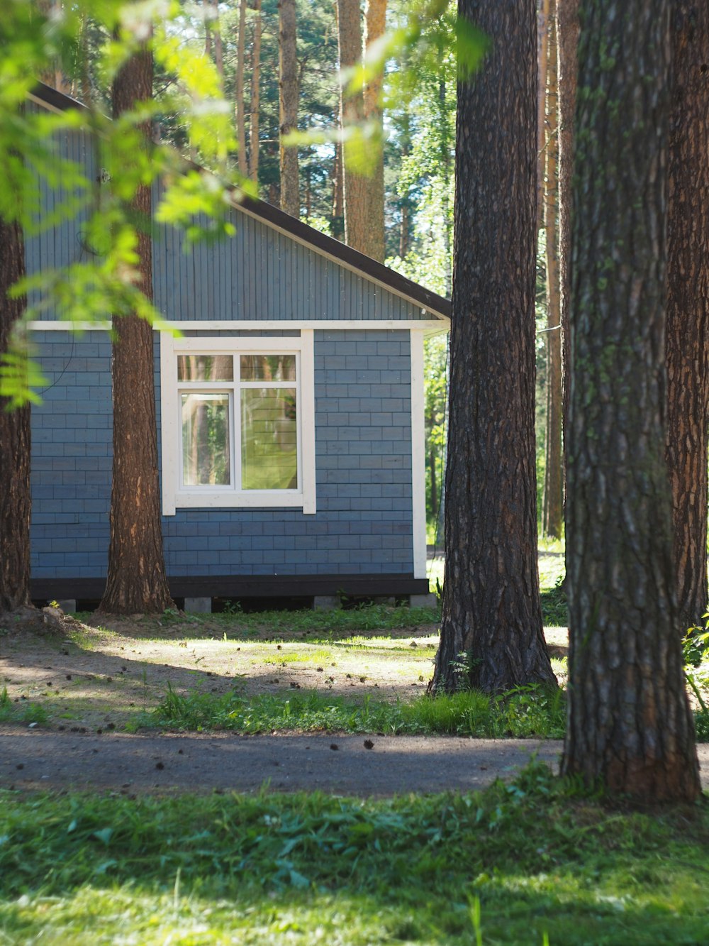 casa de madeira branca perto da árvore verde durante o dia