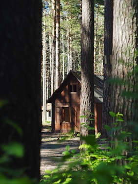 brown wooden house in the woods