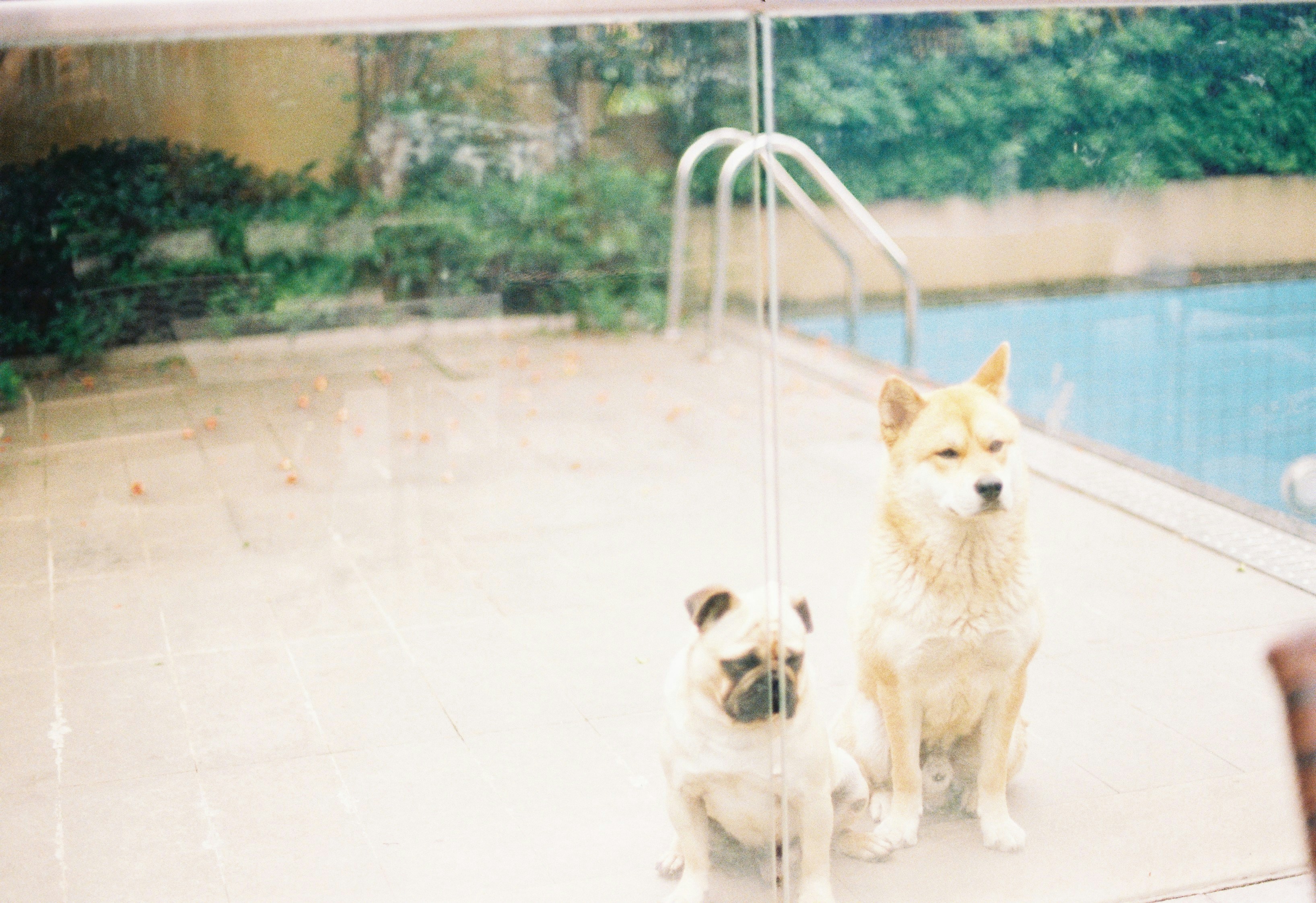 Photo by quanquan1115