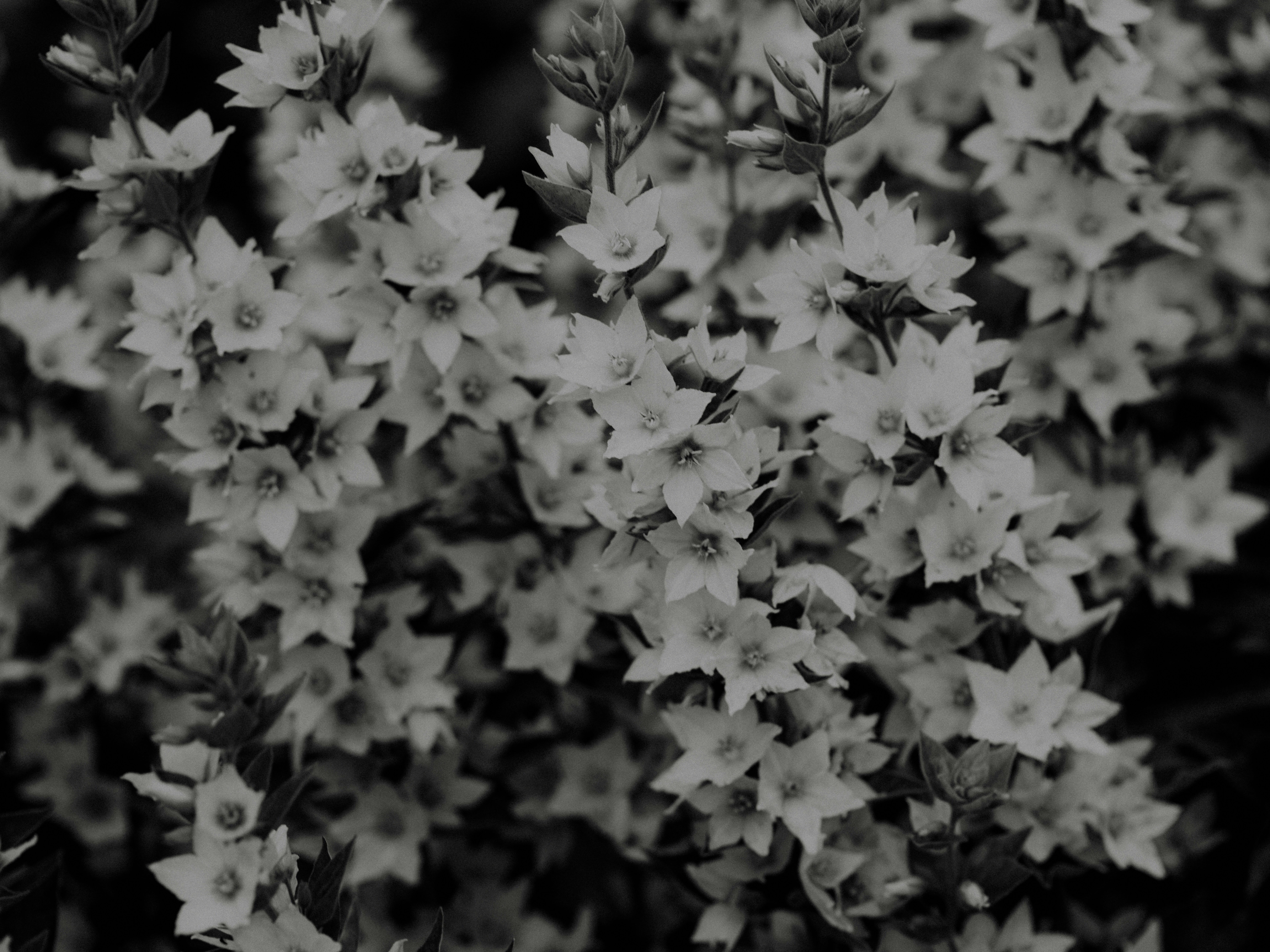 Photo by anniespratt