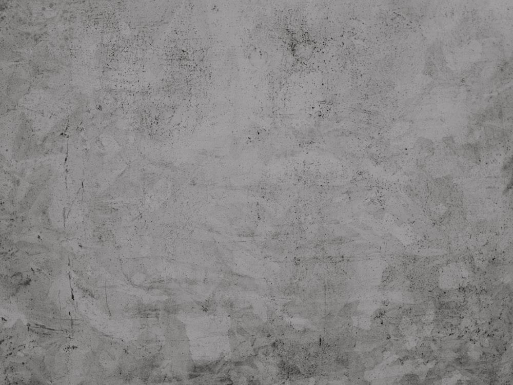 회색과 흰색 콘크리트 벽