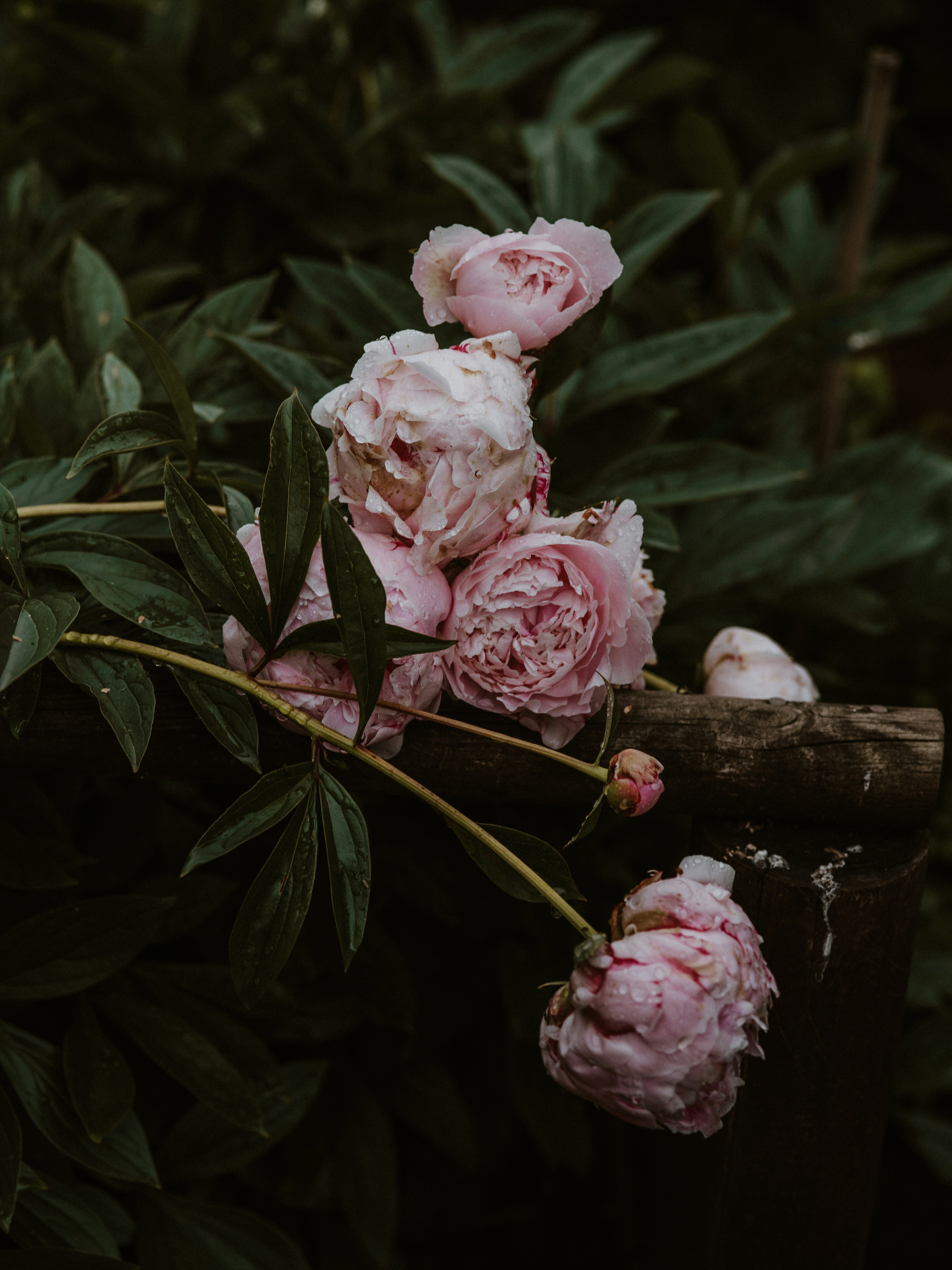 Photo by anniespratt