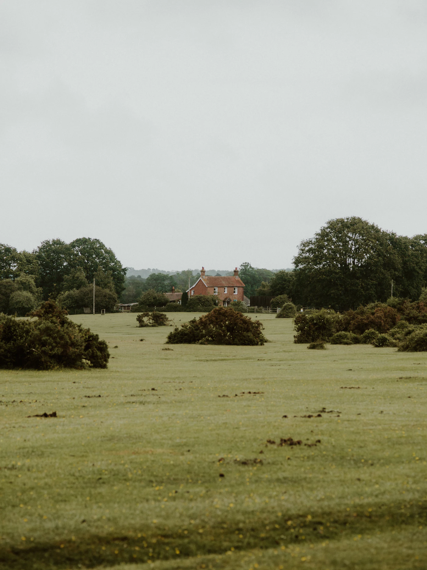 An English countryside view in late afternoon light — red-brick farmhouse in the distance beyond mature trees and a hedge-bordered field, the quiet of a well-earned retirement in the East of England.