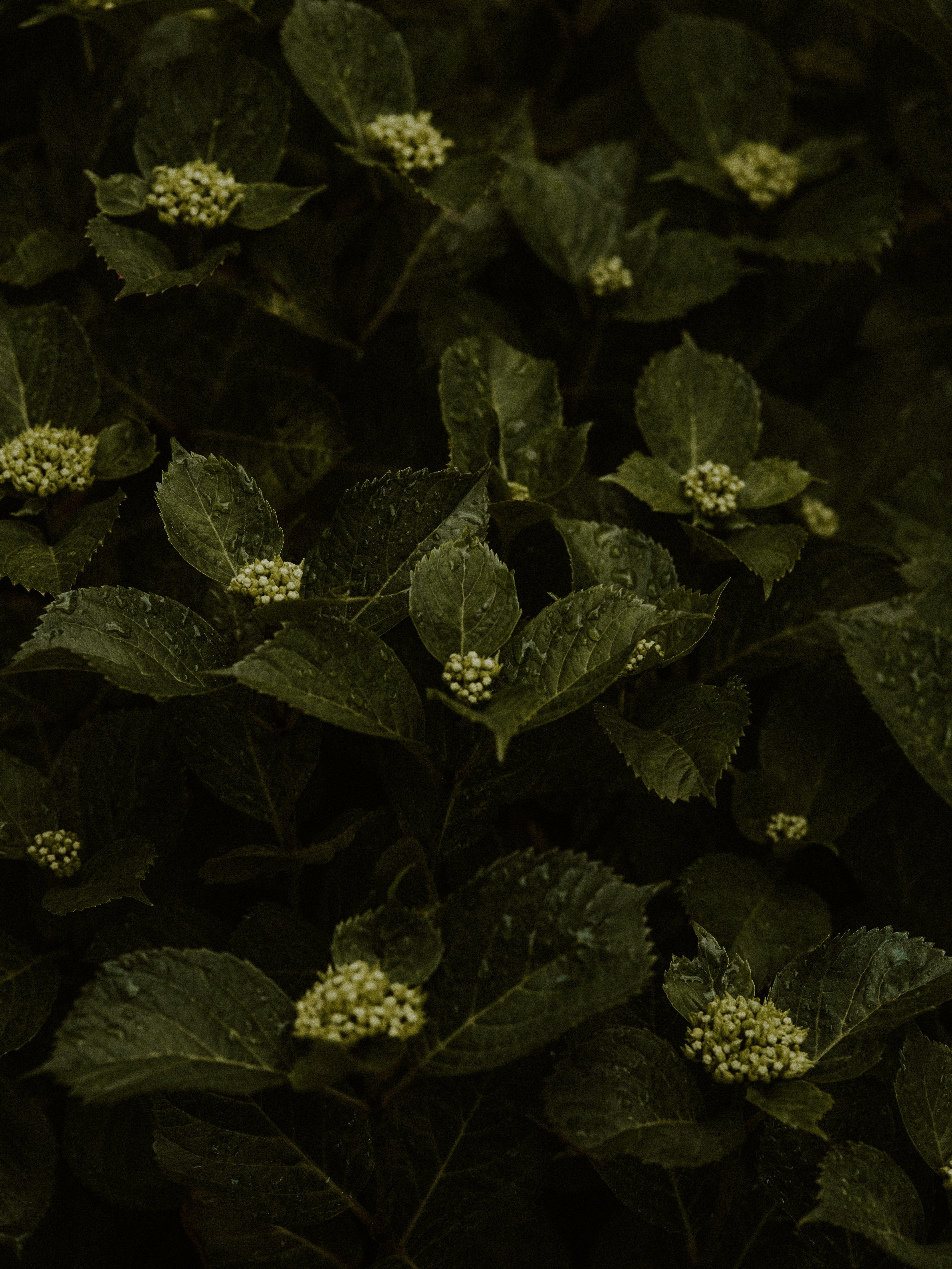 Photo by anniespratt