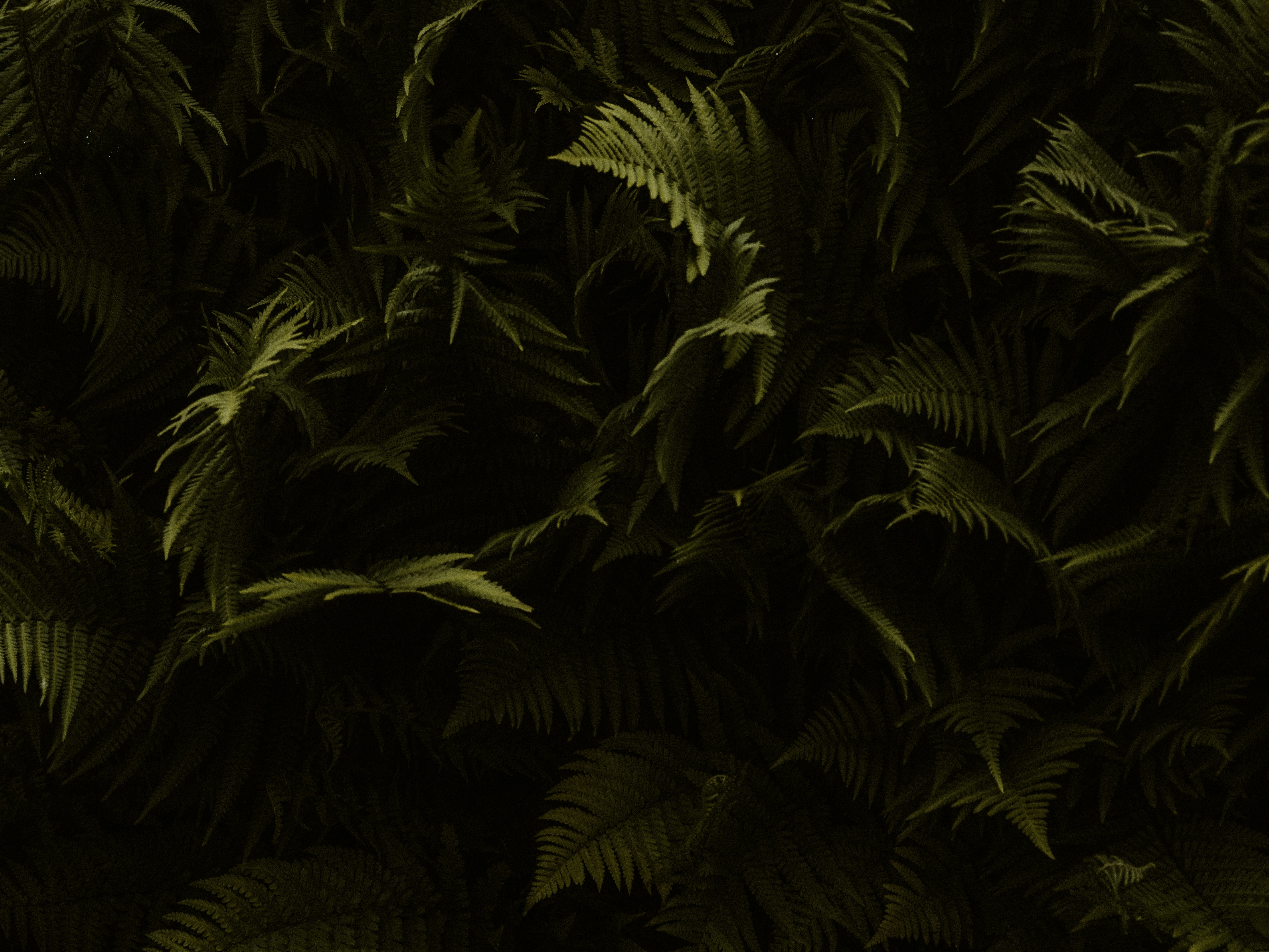 Photo by anniespratt