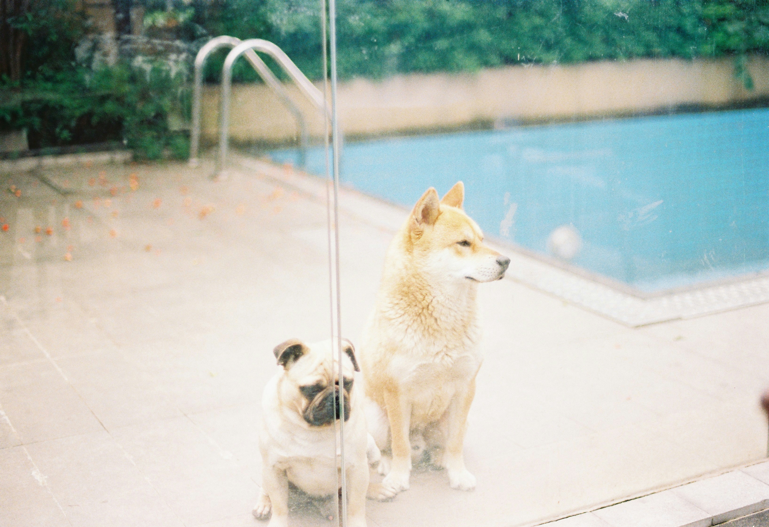 Photo by quanquan1115