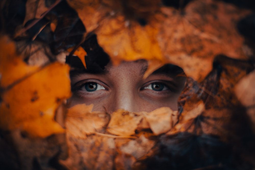 womans face on brown dried leaves