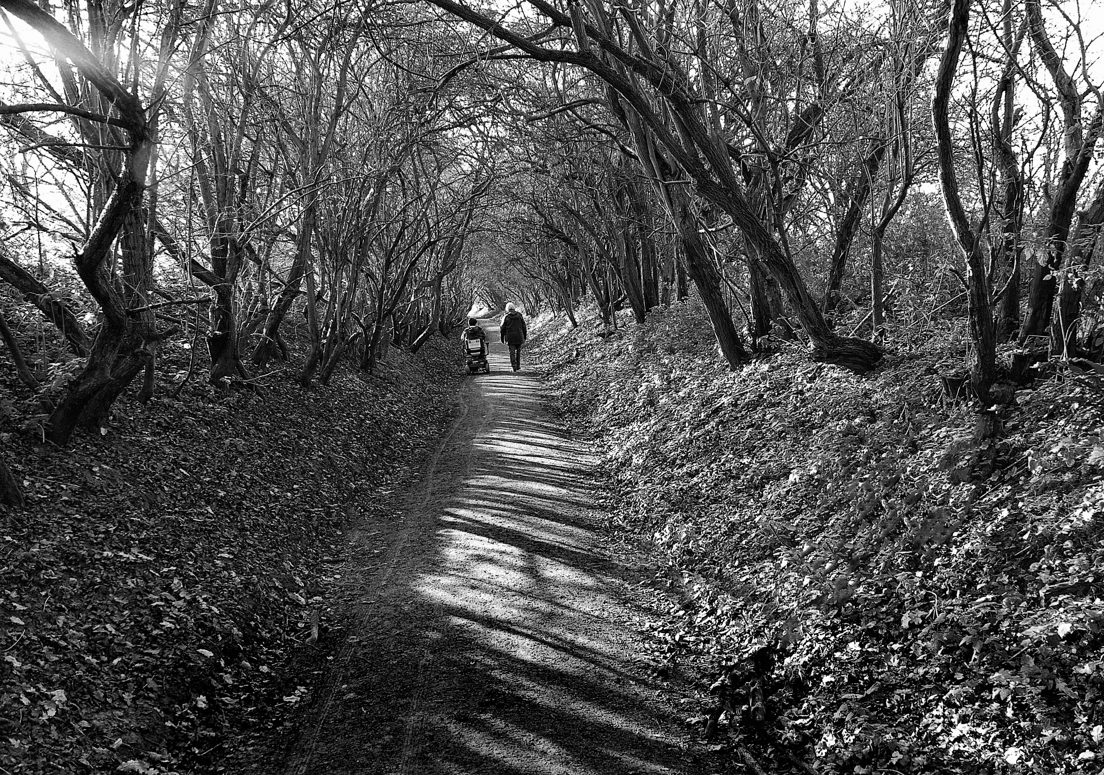 Photo by les_attridge