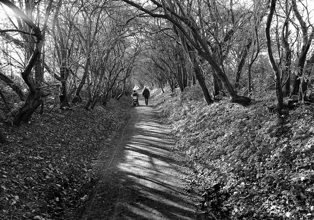 person in white jacket walking on snow covered pathway between bare trees during daytime