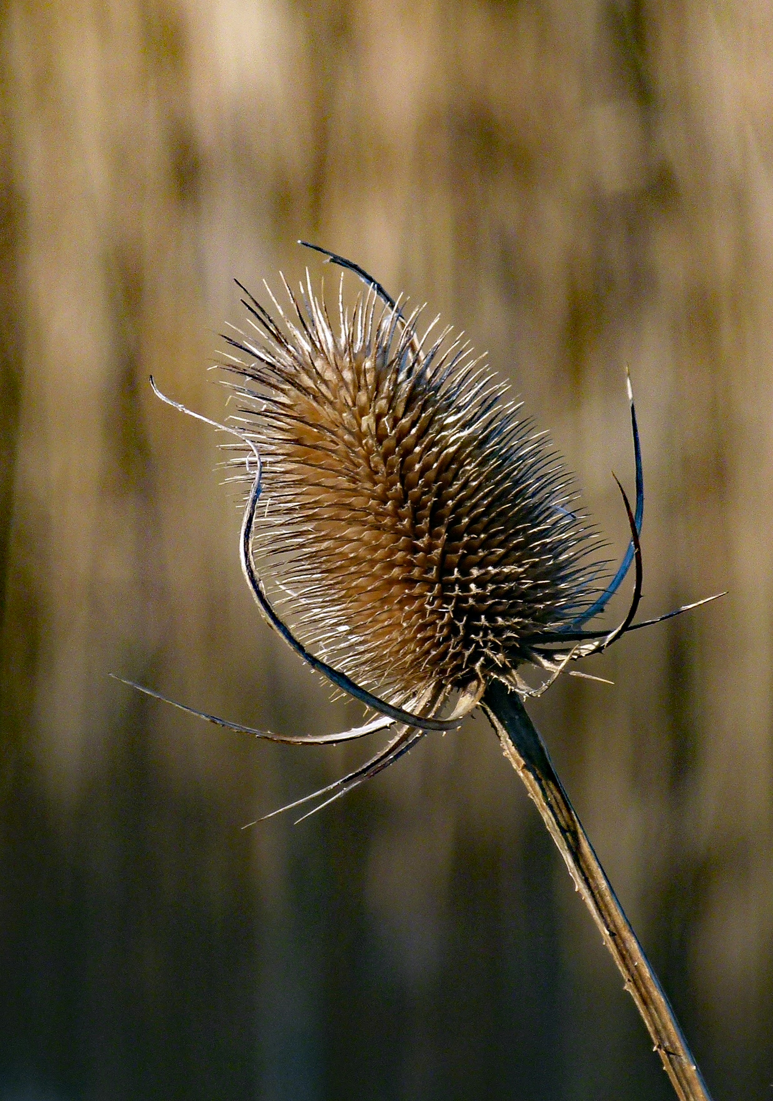 Photo by les_attridge