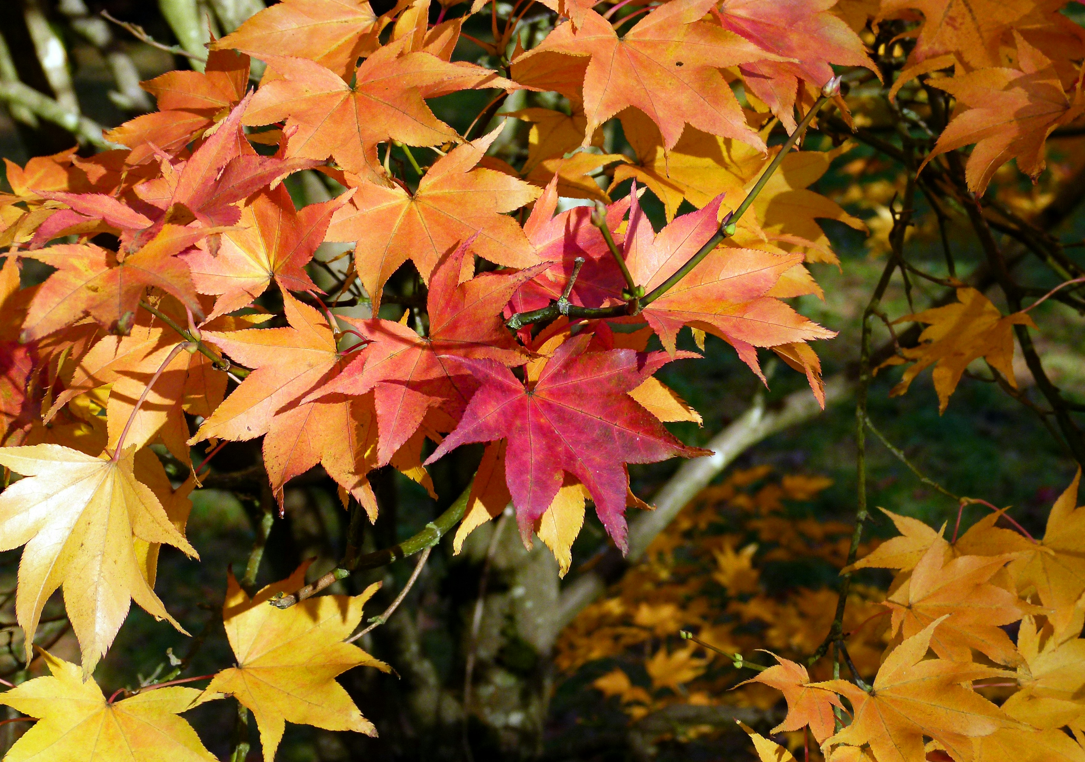 Photo by les_attridge