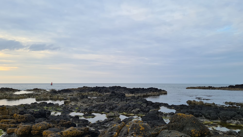 rocky shore under white cloudy sky during daytime