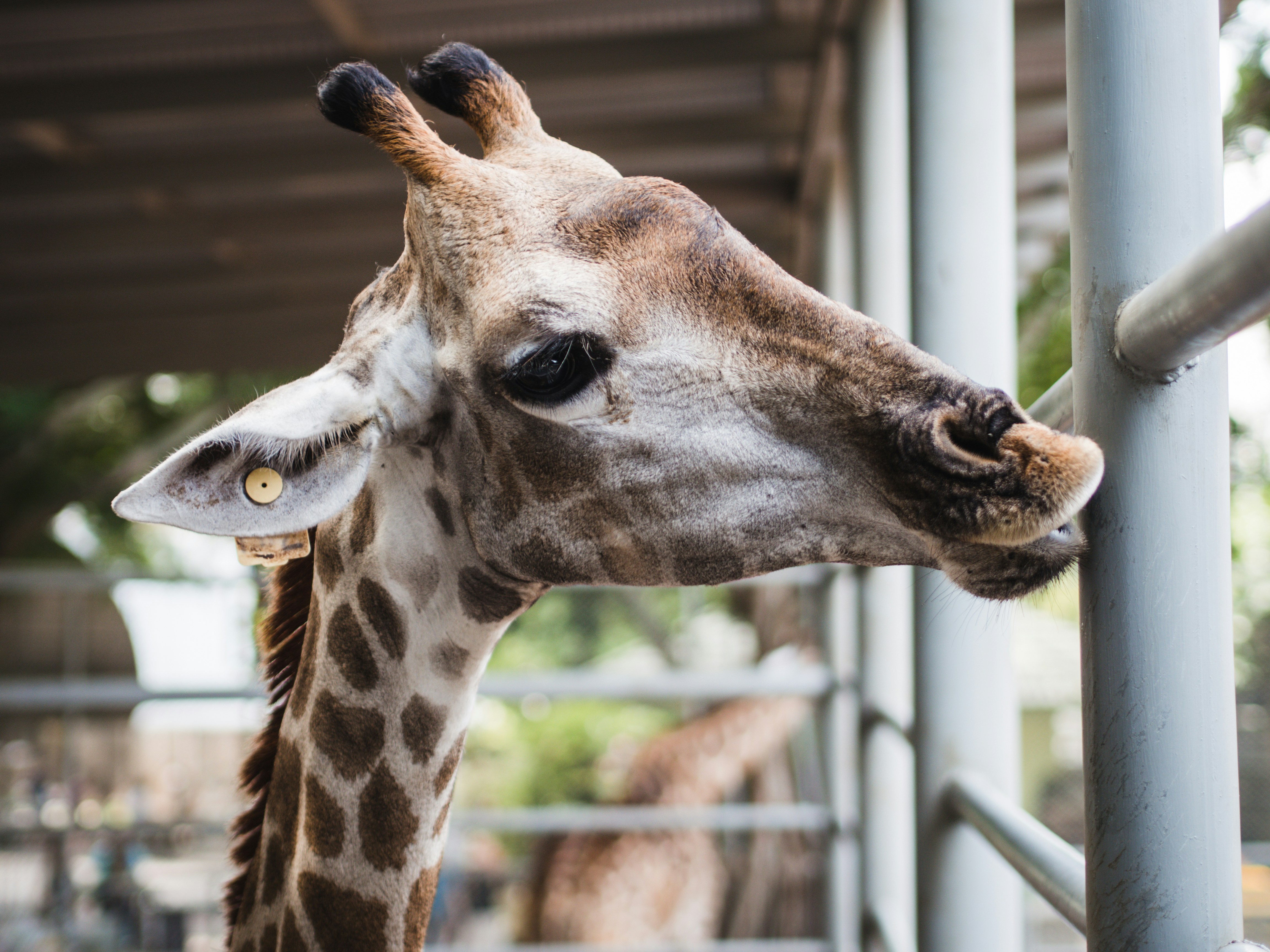 Photo by mhassouna931