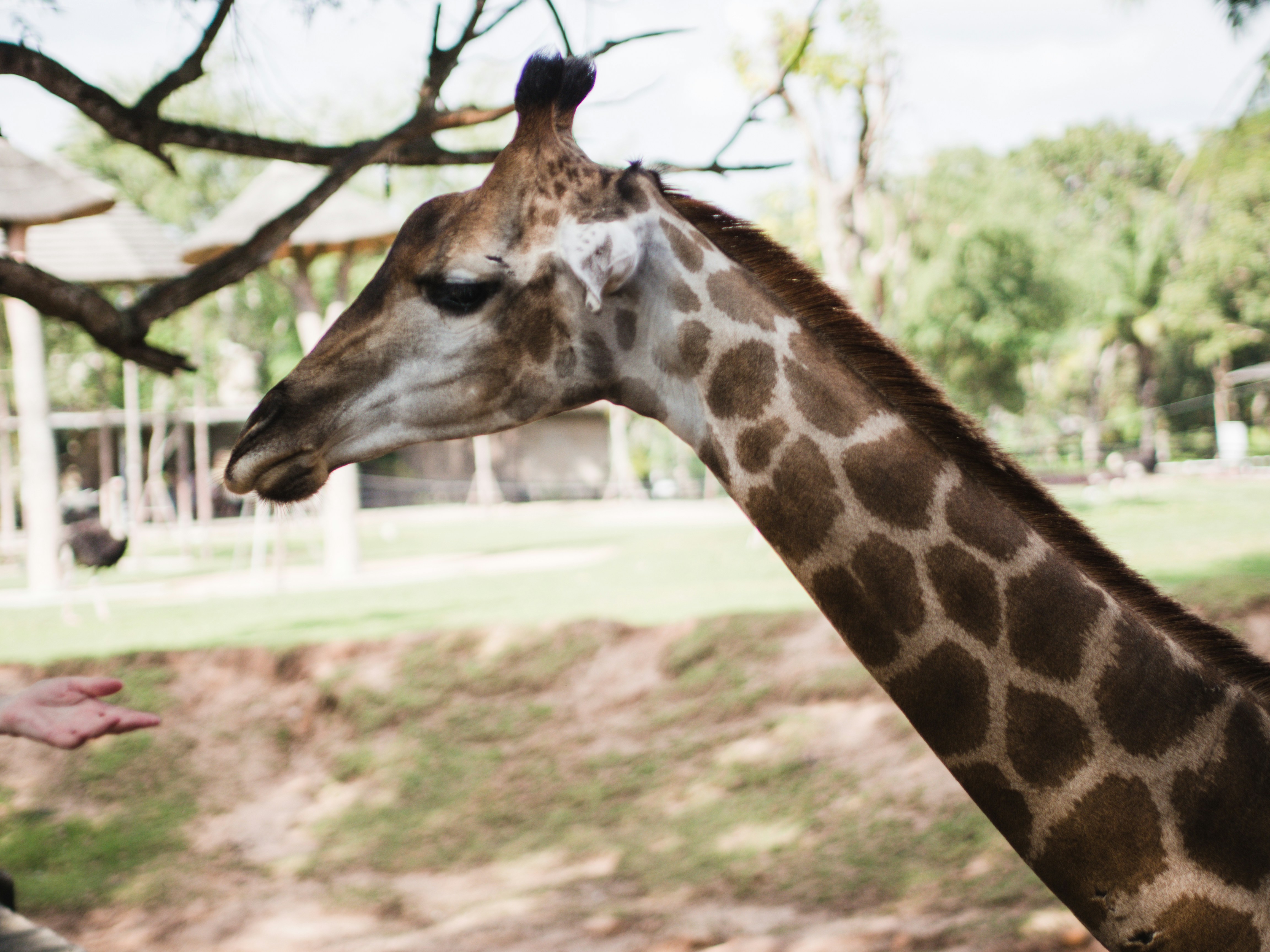 Photo by mhassouna931