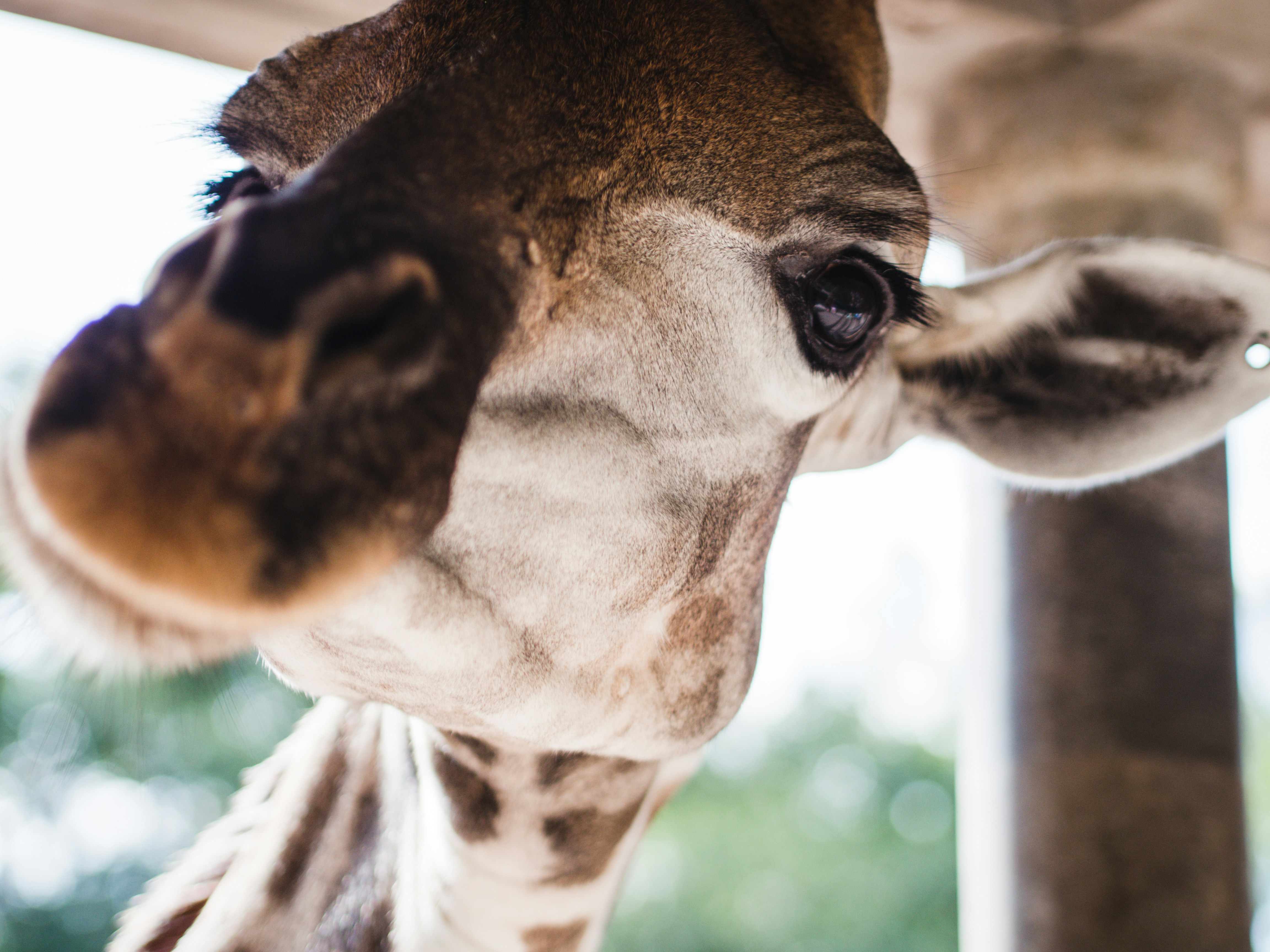 Photo by mhassouna931