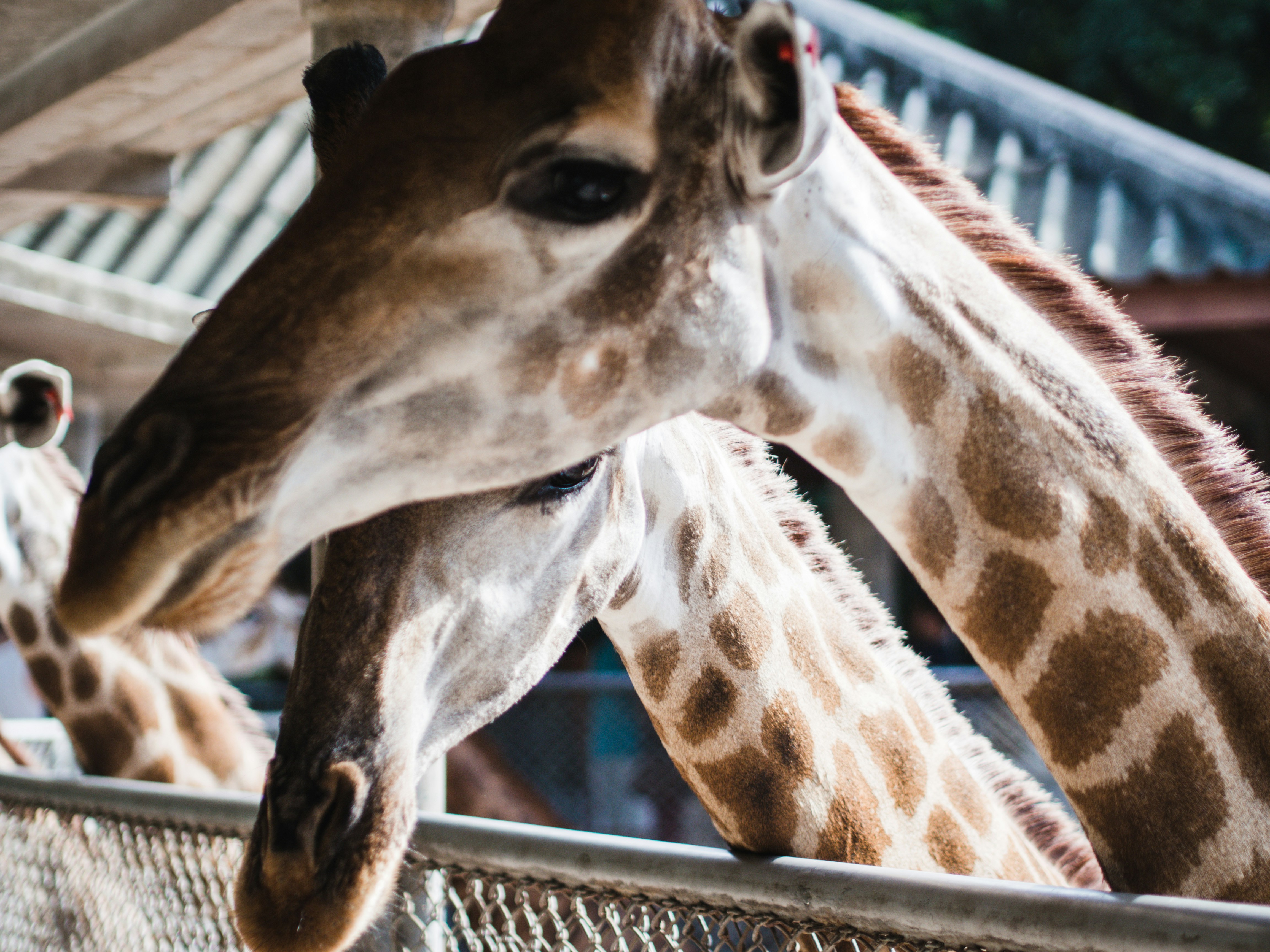 Photo by mhassouna931