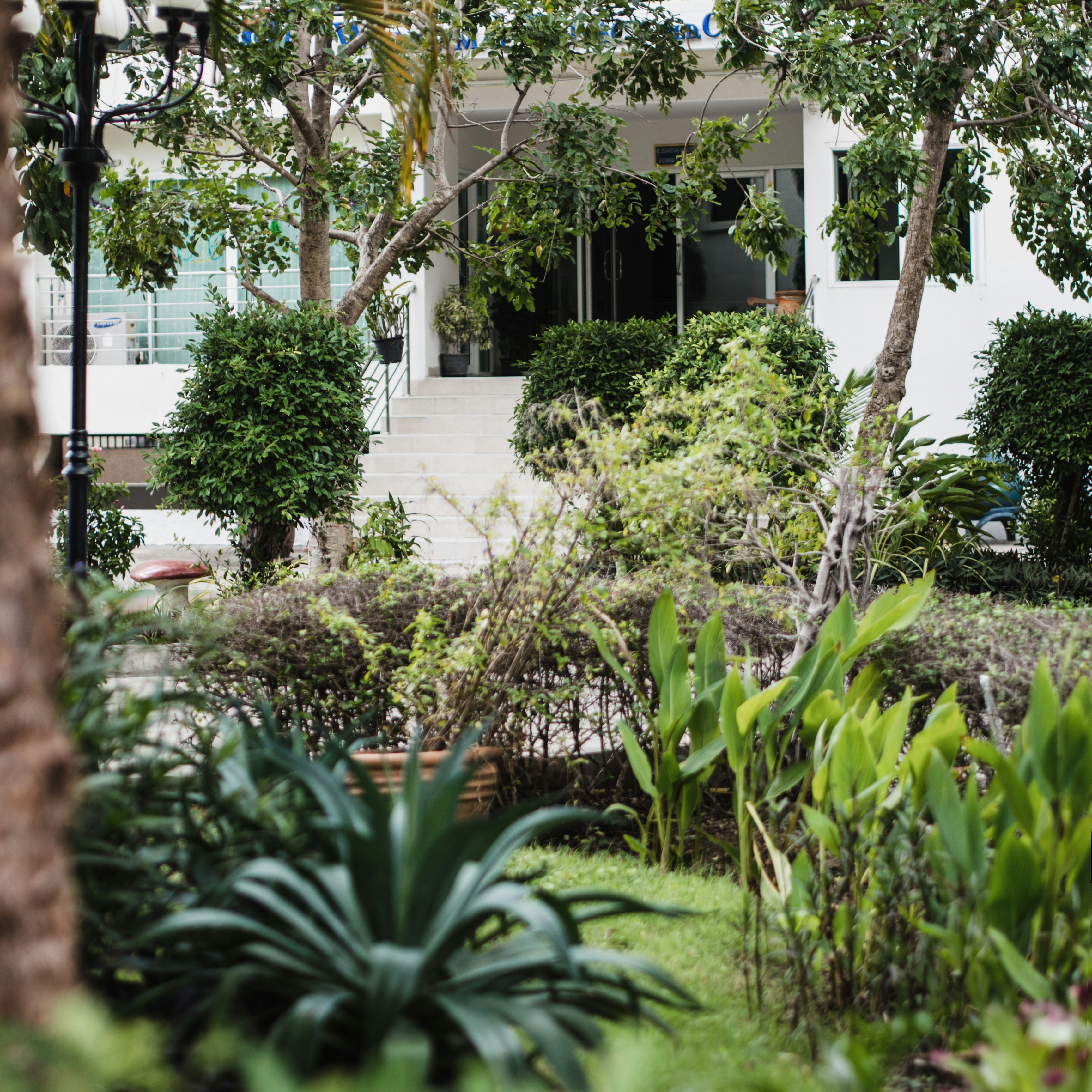 Photo by mhassouna931