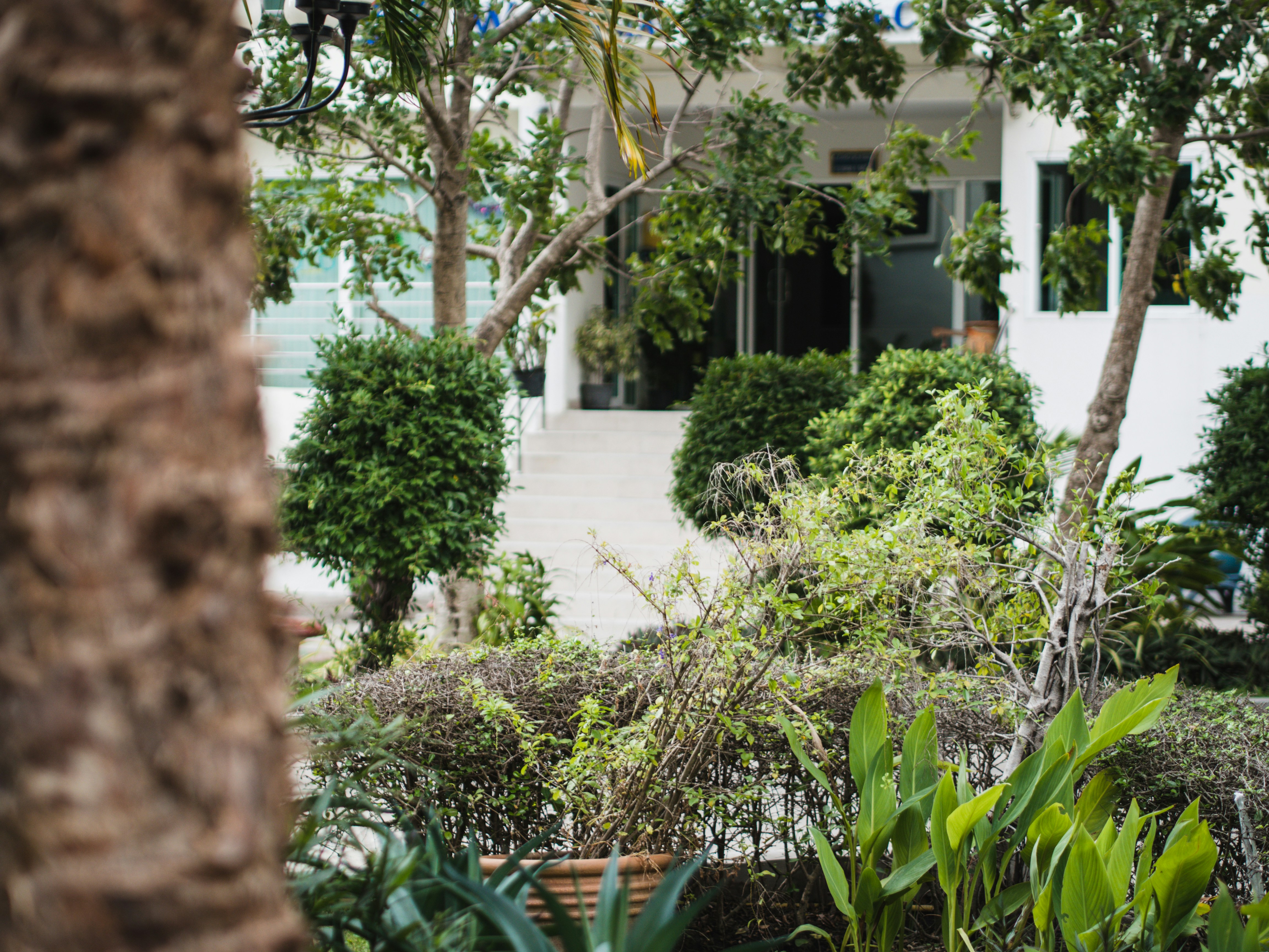 Photo by mhassouna931