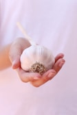 white and brown flower on persons hand
