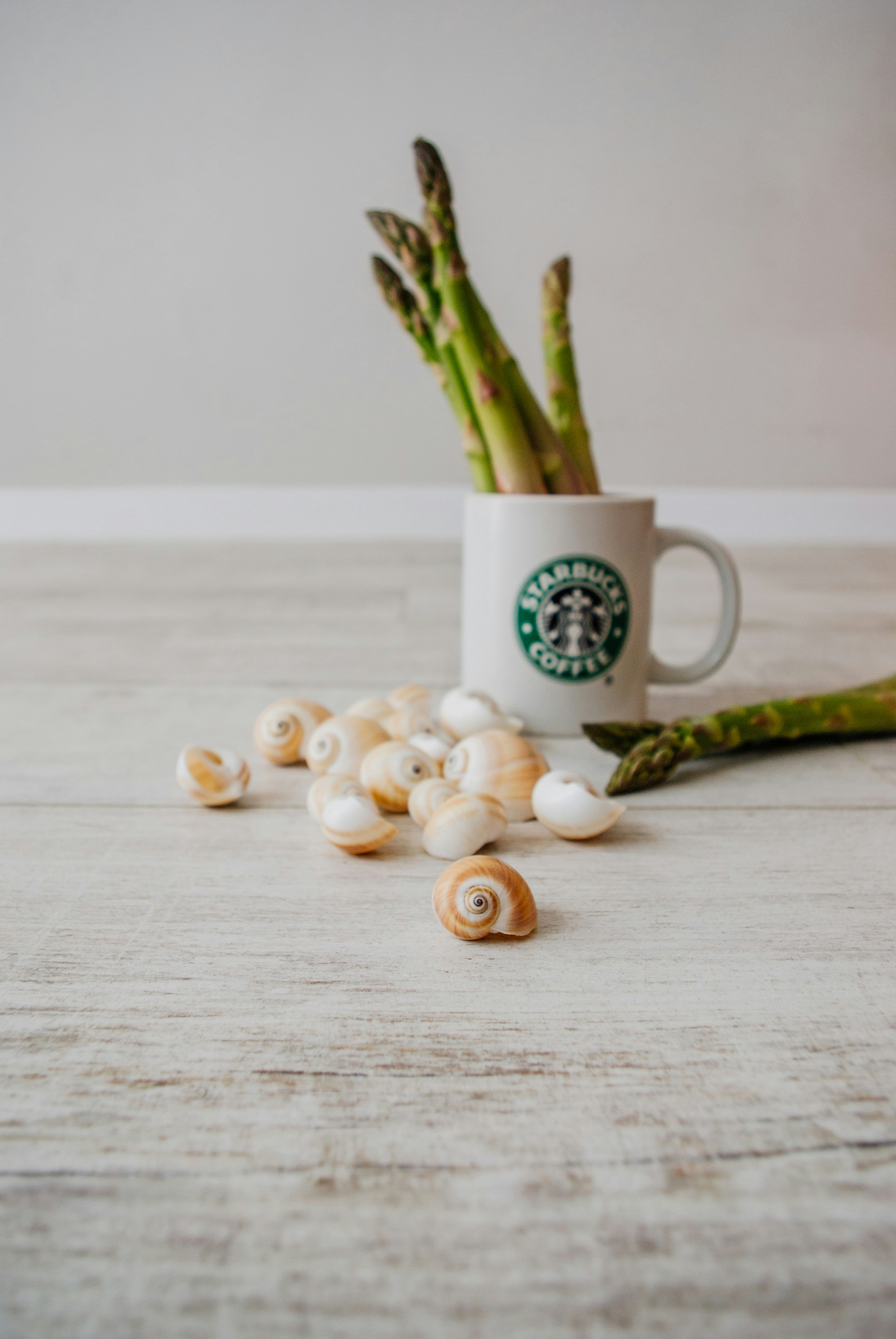 white and green ceramic mug beside white and brown stones