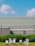 A modern architectural scene with a metal building in the background, featuring a flat roof and a paneled facade. In the foreground, there are several metallic sculptures arranged in a grassy area. Tall, lush green grass borders the sculptures, contrasting with the clear, vibrant blue sky overhead, punctuated by fluffy white clouds.
