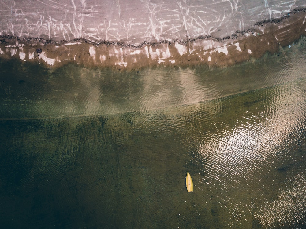 yellow banana on body of water