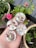 A hand holds four small round candles embedded with dried flower petals and herbs. In the background, there are potted plants with pink roses and green foliage, set against a patio or garden scene with a wooden deck.