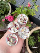 A hand holds four small round candles embedded with dried flower petals and herbs. In the background, there are potted plants with pink roses and green foliage, set against a patio or garden scene with a wooden deck.