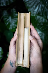 person holding brown wooden sticks