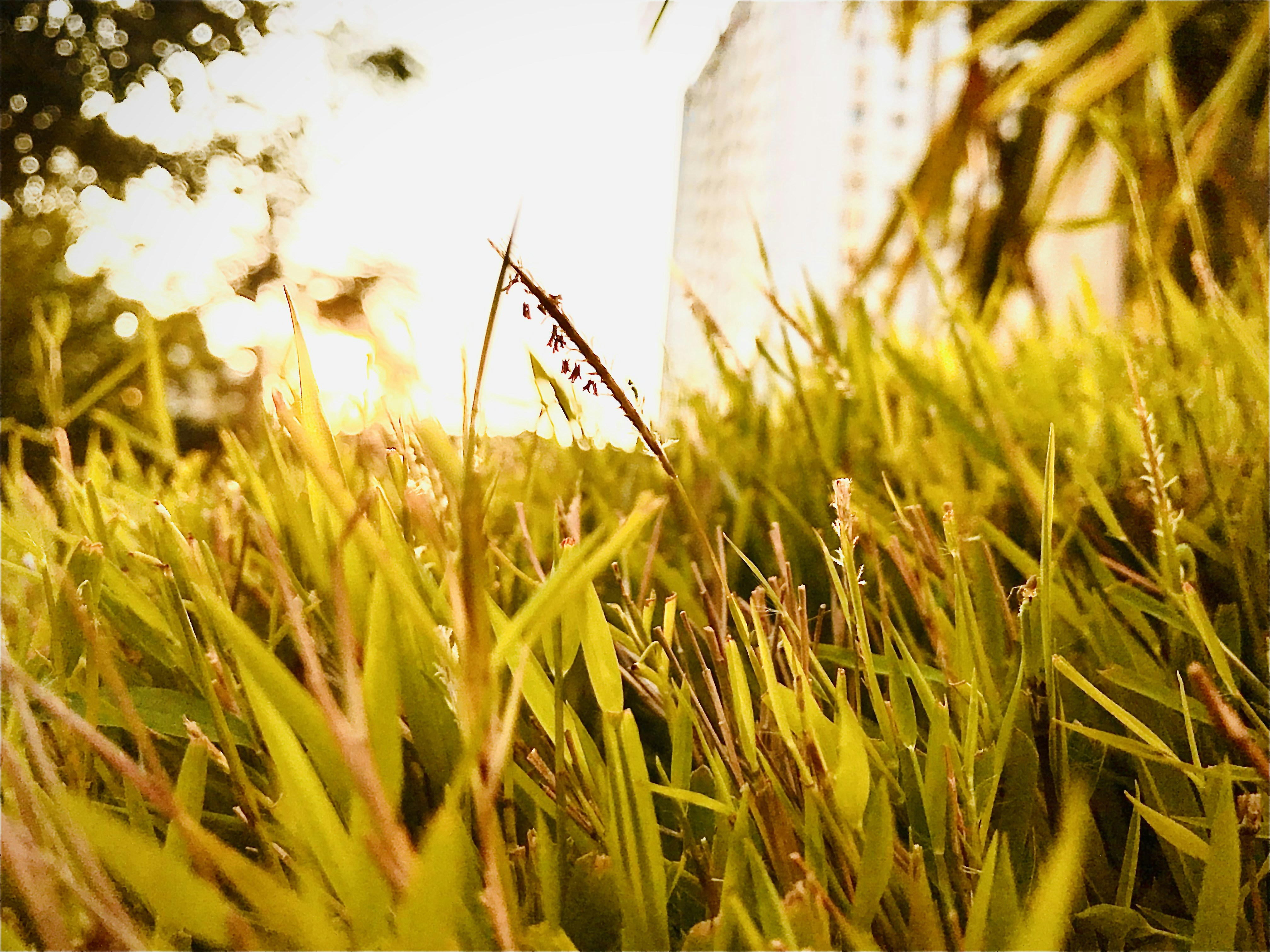 Photo by surabhisphotography