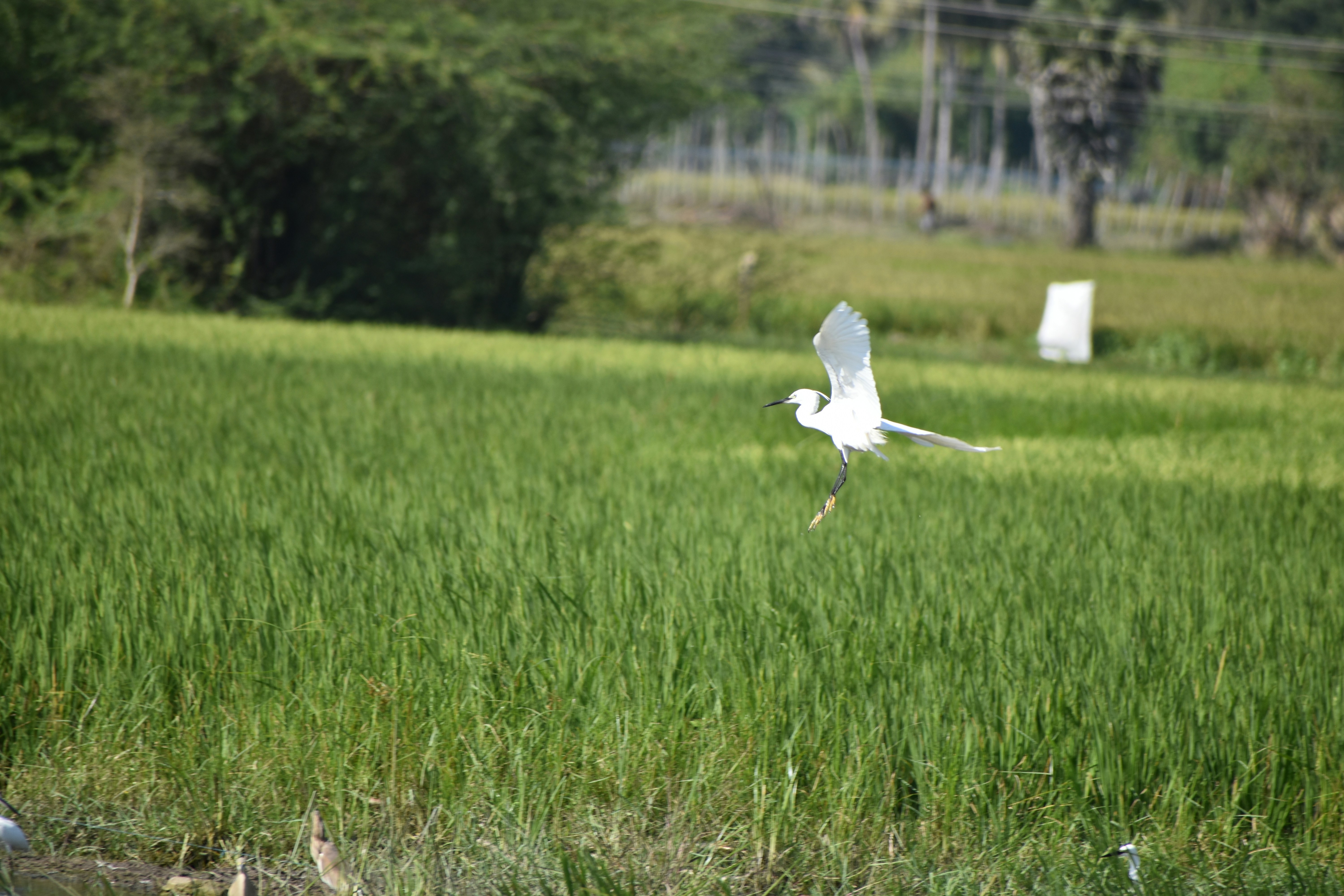 Photo by rvsubramani