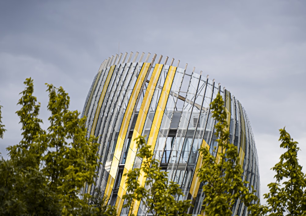 yellow flowers near glass building