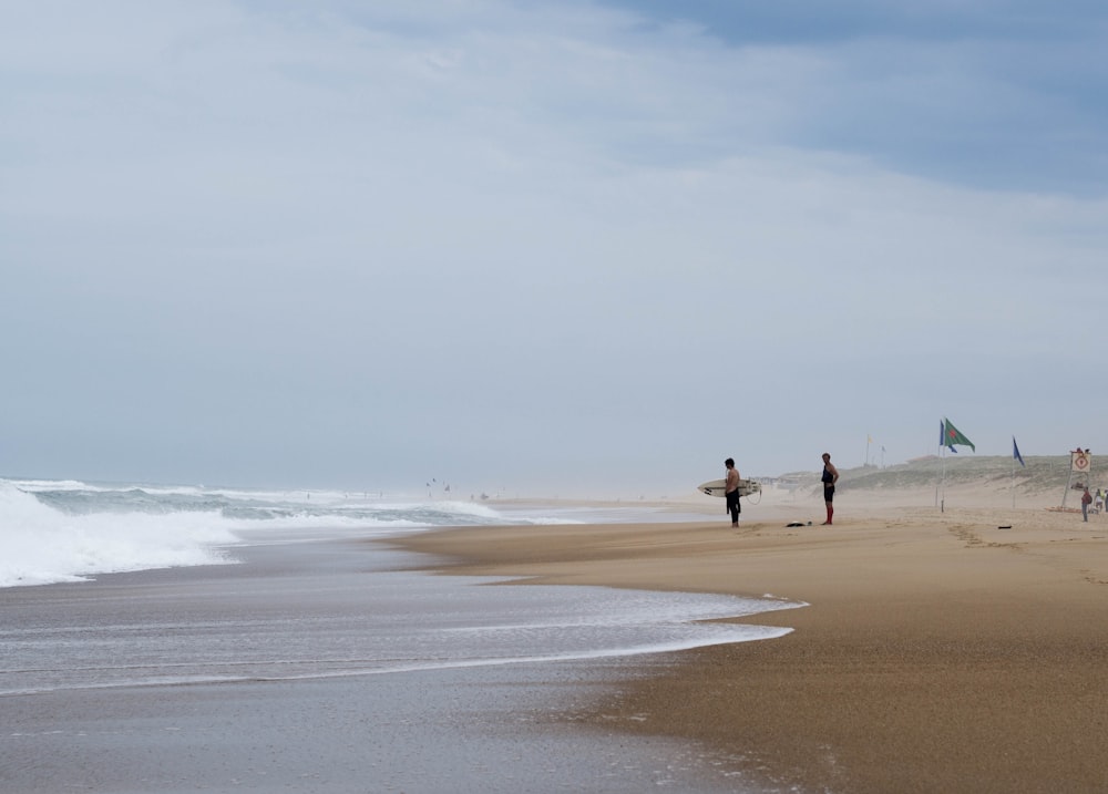 people walking on beach during daytime