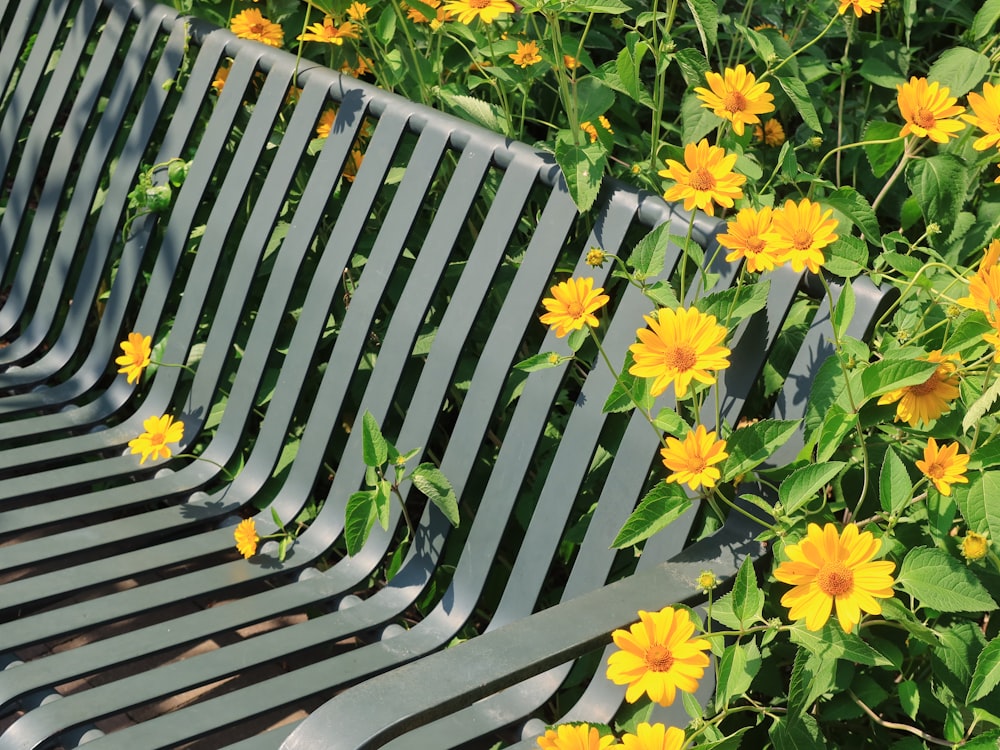 yellow flowers on green steel bench