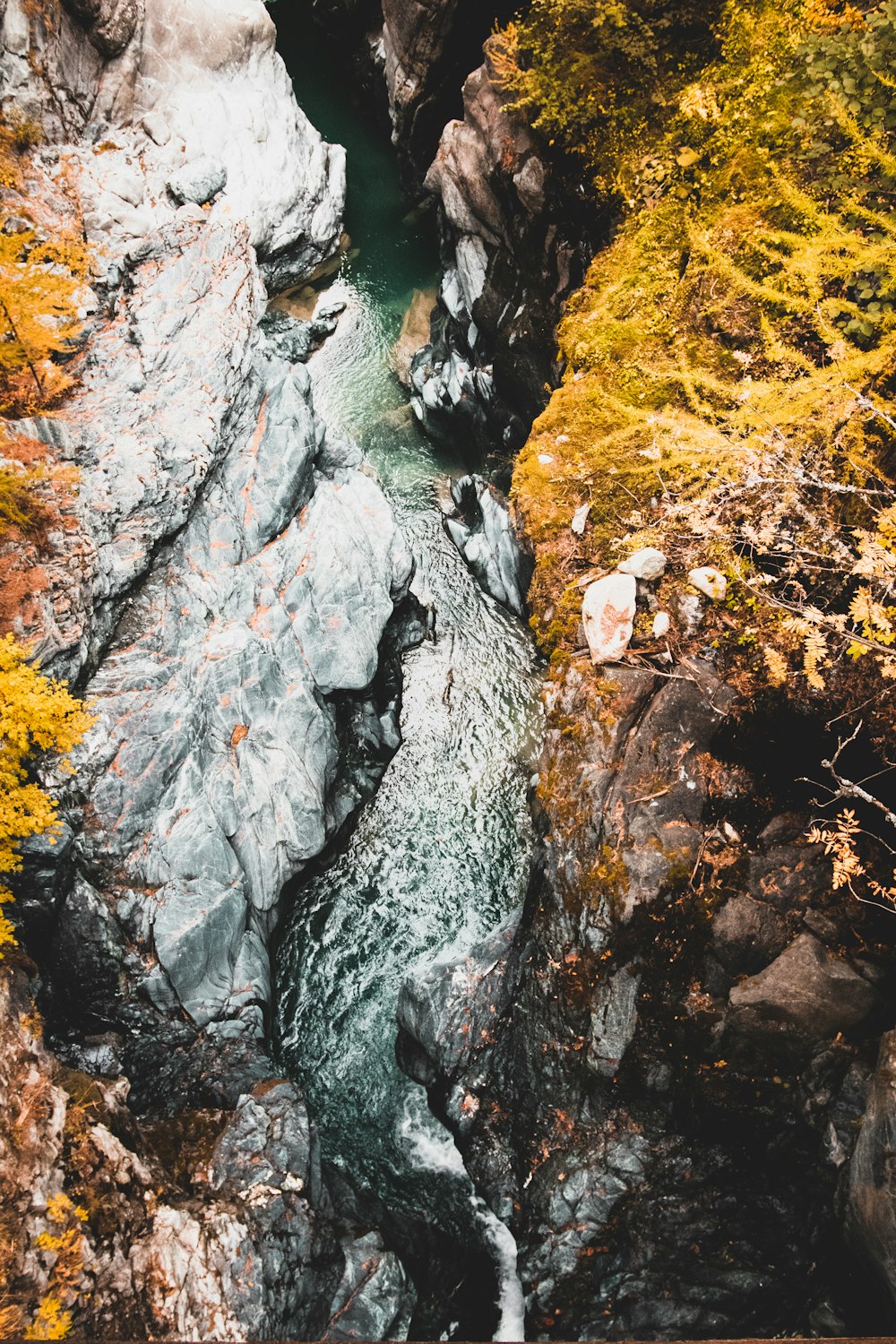 river in between rocky mountain during daytime