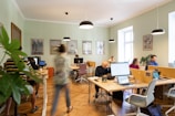 A busy office environment with multiple people working at shared desks. Laptops and computers are actively being used, and there are plants and personal items on the desks. The room has light green walls with artistic posters, wooden flooring, and hanging lights. Natural light enters through the large windows, creating a bright atmosphere. A person is walking, creating a dynamic atmosphere.