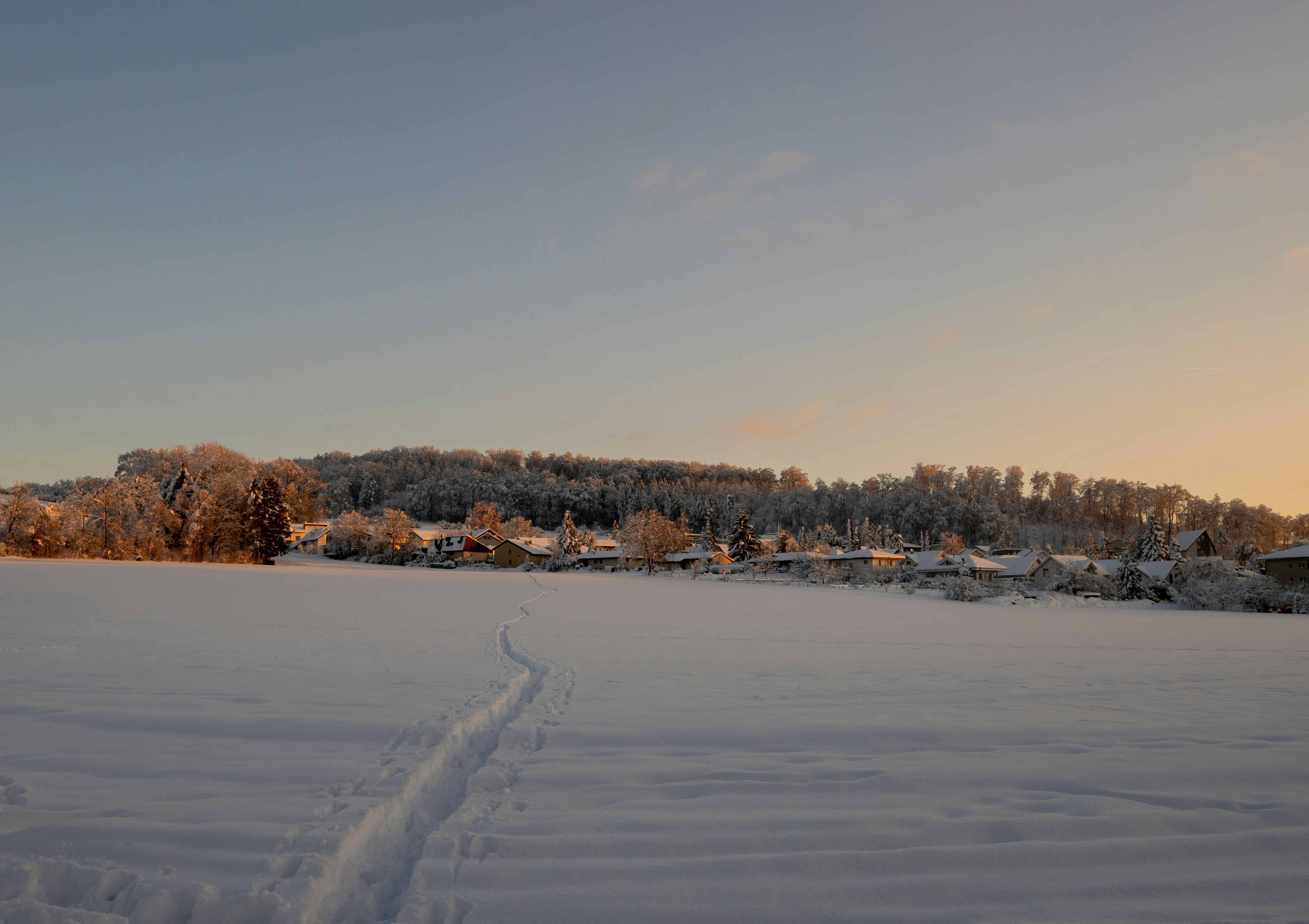 Photo by melanieweidmann_photography