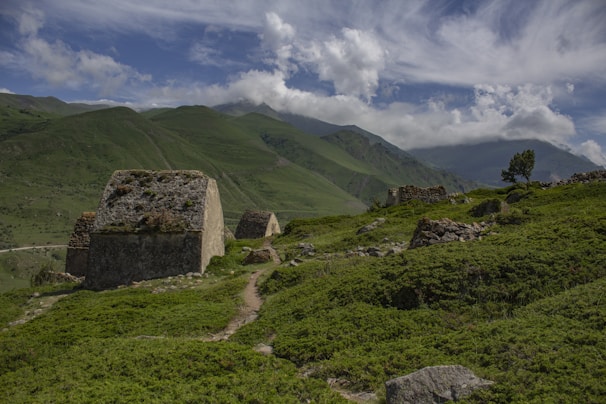 Ancient stone pathway winding through vibrant greenery in the hill country
