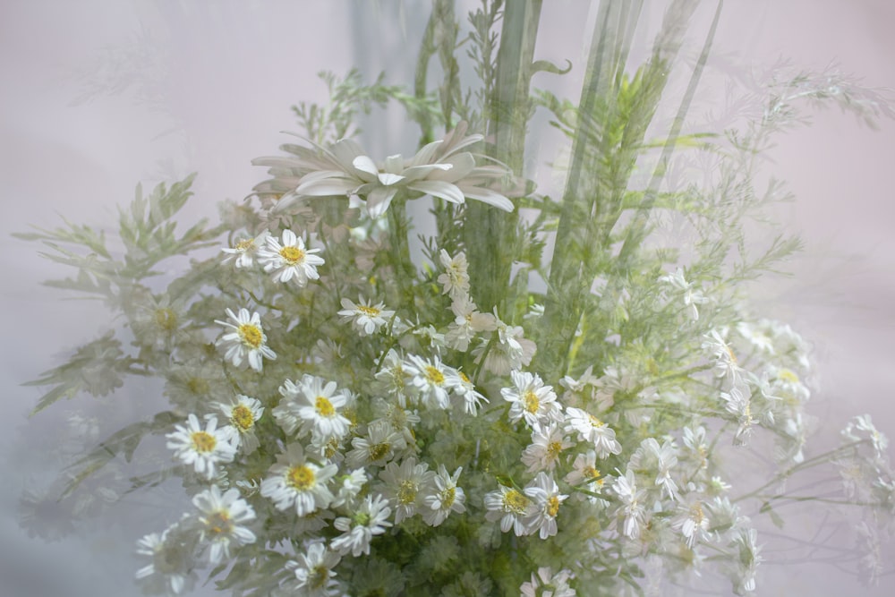 flores blancas y moradas en habitación blanca