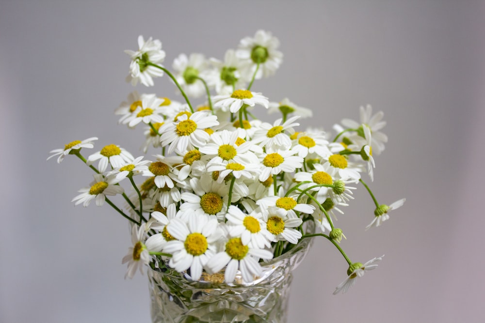white and yellow flowers in clear glass vase