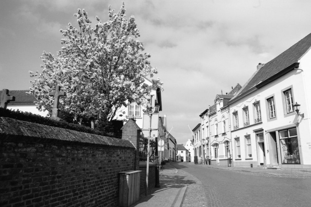 Foto en escala de grises de un árbol en medio de una ciudad