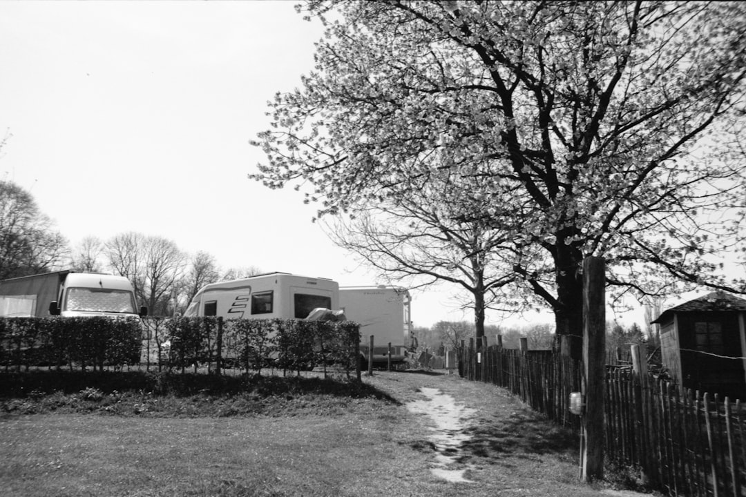 grayscale photo of trees near building