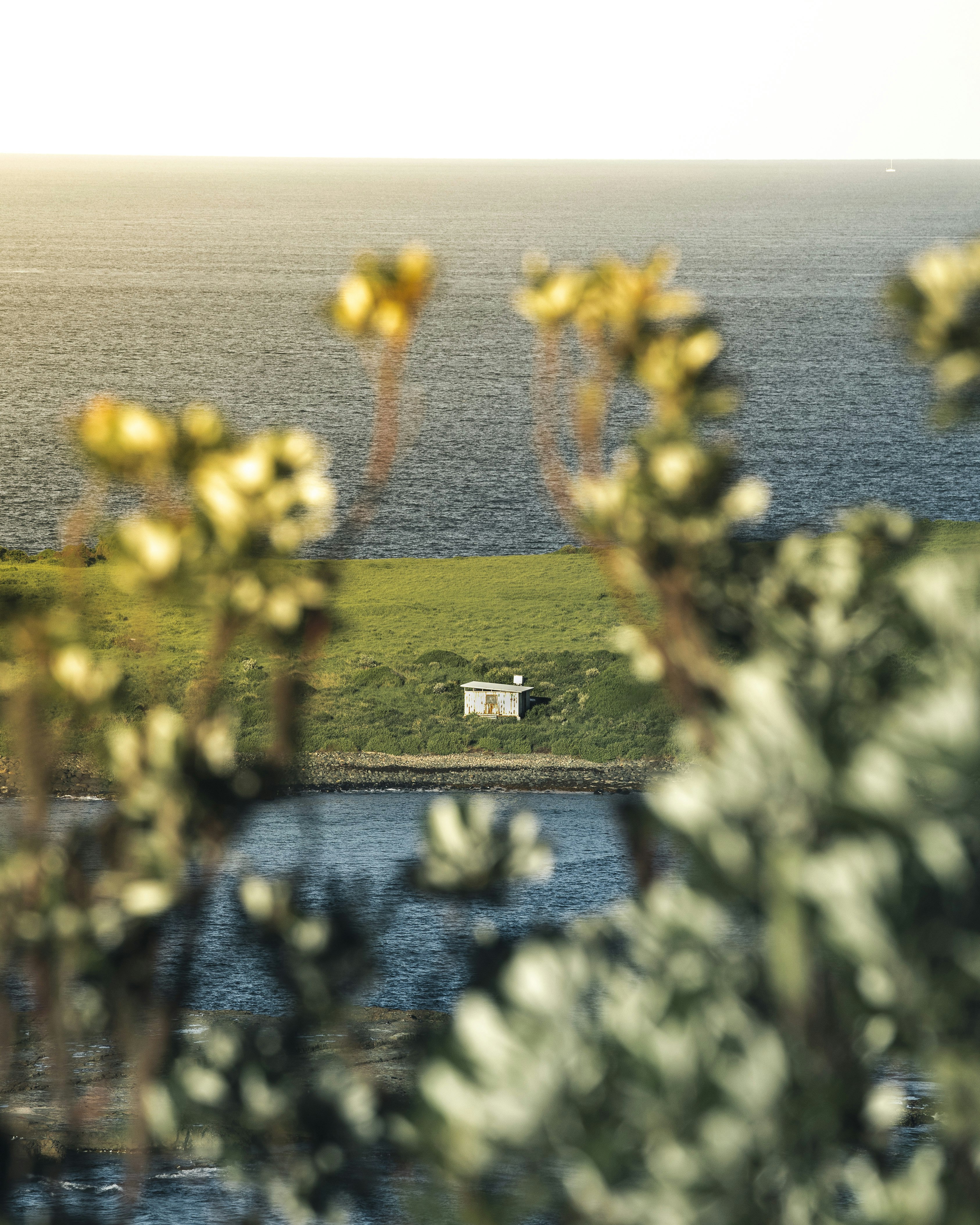 green grass field near body of water during daytime